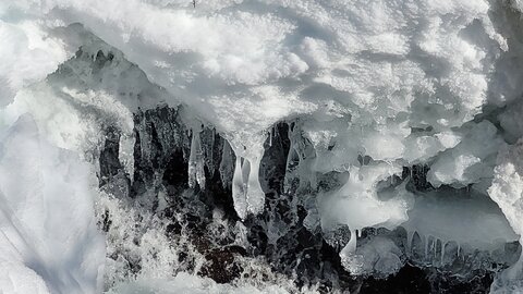 Clarée 2026, 20260228_100338