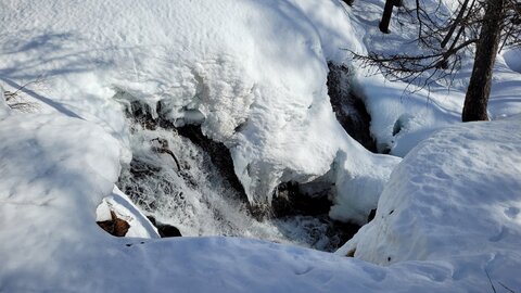 Clarée 2026, 20260228_100327
