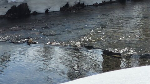 Clarée 2026, 20260228_095820