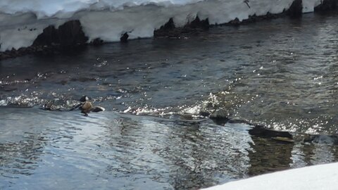 Clarée 2026, 20260228_095819