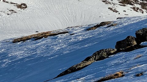 Clarée 2026, 20260227_092753