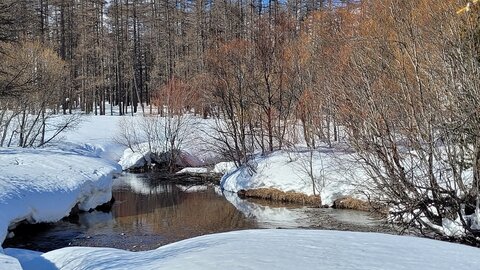 Clarée 2026, 20260226_143746