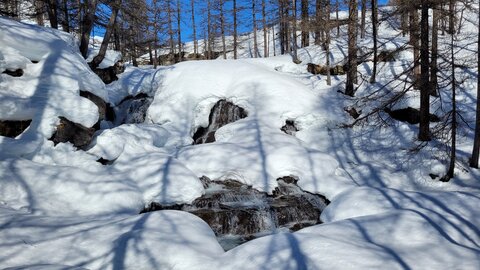 Clarée 2026, 20260226_105818