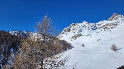 Clarée 2026, 20260226_094220