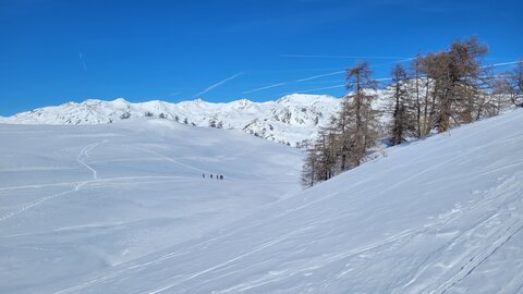 Clarée 2026, 20260224_142447