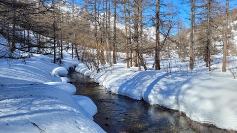Clarée 2026, 20260224_115935