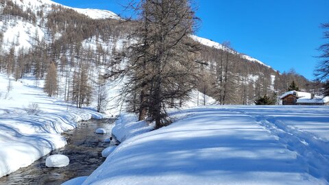 Clarée 2026, 20260224_115922