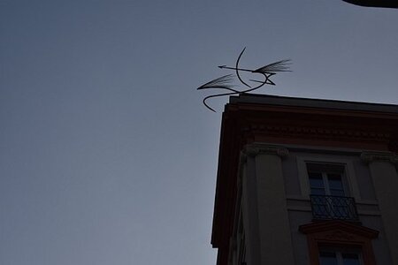 TURIN marsn2025, 0046