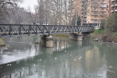 TURIN marsn2025, 0137