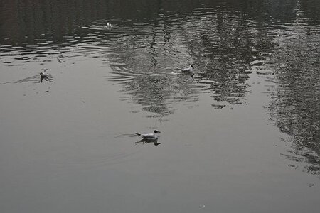 TURIN marsn2025, 0138