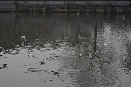 TURIN marsn2025, 0139