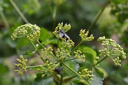 TURIN marsn2025, 0183
