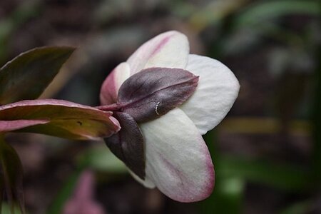 TURIN marsn2025, 0187