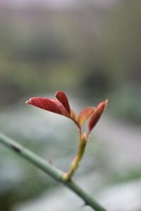 TURIN marsn2025, 0189