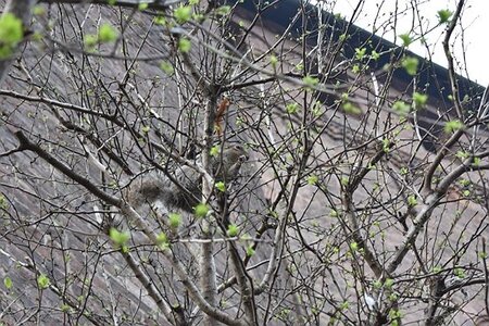 TURIN marsn2025, 0190