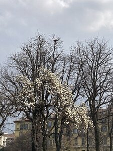 TURIN marsn2025, 0203