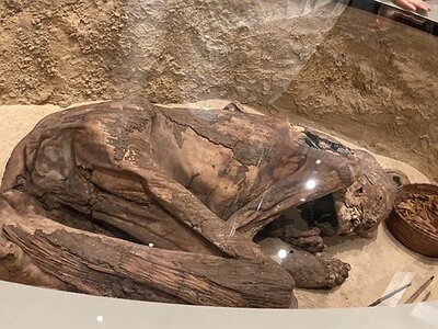 TURIN marsn2025, 0217