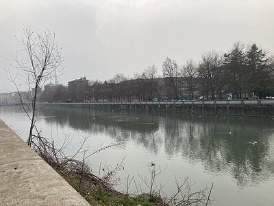 TURIN marsn2025, 0250