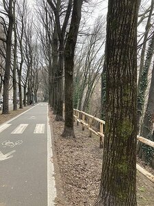 TURIN marsn2025, 0252