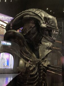 TURIN marsn2025, 0274