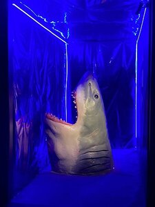 TURIN marsn2025, 0276