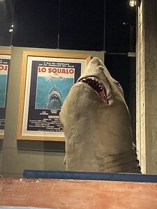 TURIN marsn2025, 0278