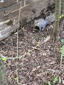 TURIN marsn2025, 0279