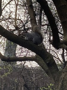 TURIN marsn2025, 0280