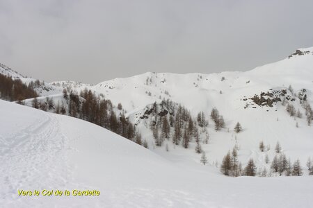 Raquettes au Col de la Gardette, IMG_1763