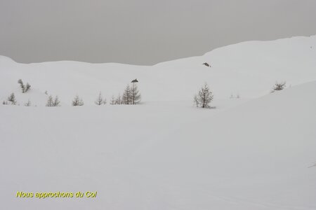 Raquettes au Col de la Gardette, IMG_1767