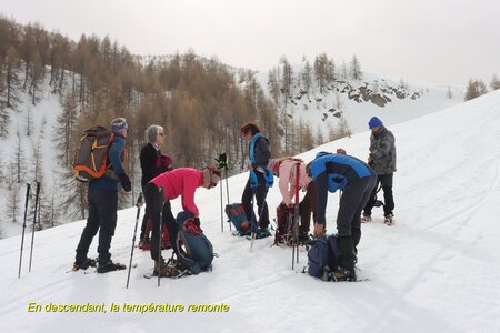 Raquettes au Col de la Gardette, IMG_1783