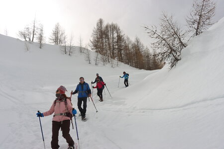 Raquettes au Col de la Gardette, IMG_1786