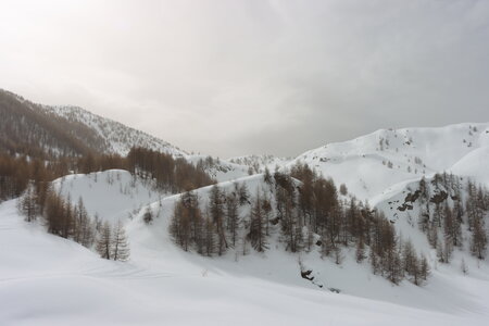 Raquettes au Col de la Gardette, IMG_1789