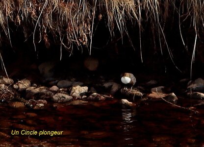 Séjour raquettes à Névache, S&eacute;jour raquettes &agrave; N&eacute;vache 2026 124