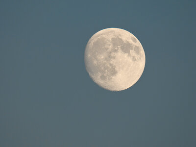 @fmbdx@piaille.fr 2025, _OMS0583