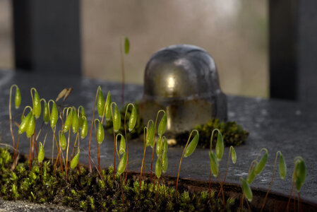 @fmbdx@piaille.fr 2025, _K1_S3_4076-1