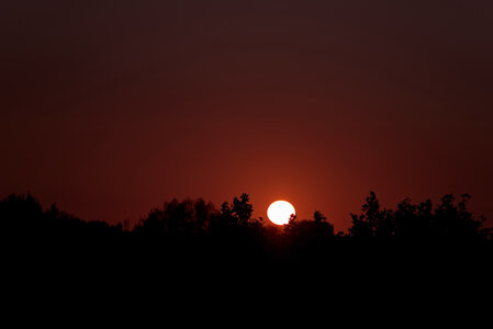 @fmbdx@piaille.fr 2025, _K1_S3_8665