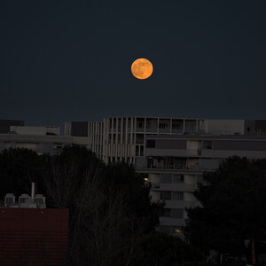 @fmbdx@piaille.fr 2026, _K1_S4_0396-1