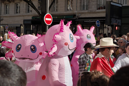 @fmbdx@piaille.fr 2026, Carnaval, Bordeaux