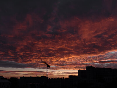 @fmbdx@piaille.fr 2026, _OMS0591