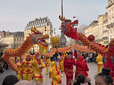 @fmbdx@piaille.fr 2026, Défilé du nouvel an Chinois, Bordeaux