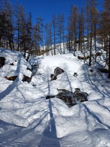 La Clarée février 2026, 20260226_105612