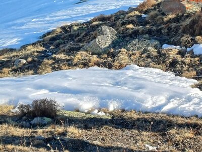 La Clarée février 2026, 20260227_092759