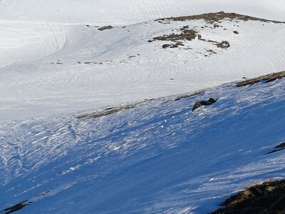 La Clarée février 2026, 20260227_092729