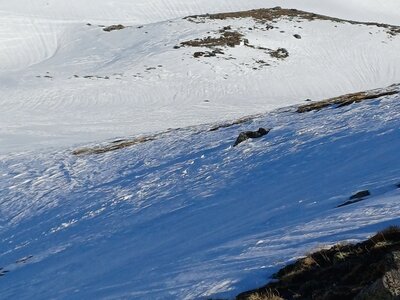 La Clarée février 2026, 20260227_092727