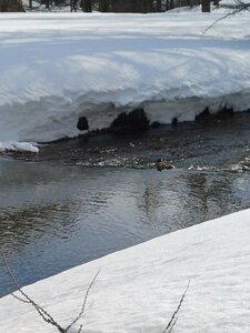 La Clarée février 2026, 20260228_095830