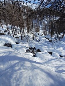 La Clarée février 2026, 20260228_100624