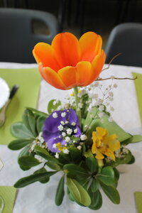 Montoison Partage - Cassoulet du 07-03-2026, MS -  07-03-2026 11-47-57