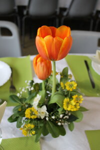 Montoison Partage - Cassoulet du 07-03-2026, MS -  07-03-2026 11-48-13