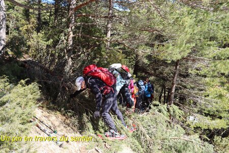 Raquettes à la Cluse, Raquettes &agrave; la Cluse 018